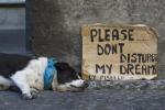Don't wake sleeping dogs!